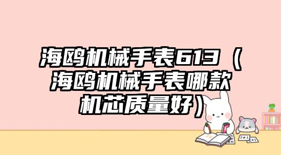 海鷗機械手表613（海鷗機械手表哪款機芯質量好）